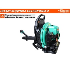 Бензиновая воздуходувка Sturm GB1963