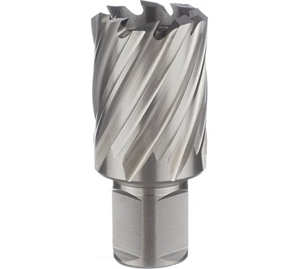Фреза кольцевая 31х30/63 мм, WELDON 19, HSS M2, №125 ТМ Профоснастка 40102025