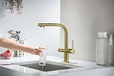 Смеситель для кухни Aquatek Европа AQ1385BG с подкл. к фильтру, шлифованное золото