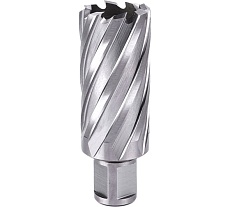 Фреза кольцевая №25 (31х55/88 мм; WELDON19; HSS M2) Профоснастка 40101025