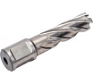 Сверло кольцевое (16х55 мм; HSS; Weldon 19) Euroboor HCL.160