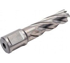 Сверло кольцевое (16х55 мм; HSS; Weldon 19) Euroboor HCL.160