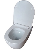Подвесной унитаз SET Aquatek Поларис-01-015 4в1, кнопка белый