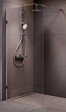 Душевая перегородка Am.Pm X-Joy W94WI-100-F1-MTE 100x195 матовый хром, прозрачное