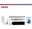 Бензиновая цепная пила Oasis GS-17 4640015389910