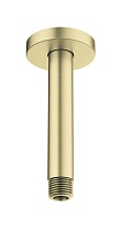 Кронштейн для душа Aquatek AQ2171BG шлифованное золото