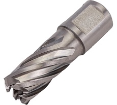 Сверло кольцевое (17х30 мм; HSS; Weldon 19) Euroboor HCS.170