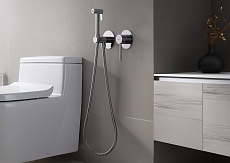 Смеситель Aquatek Европа AQ1319CR с гигиеническим душем, хром