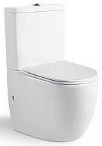 Унитаз-компакт WeltWasser Merzbach 001MT-WT белый матовый
