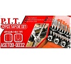 Набор для нарезания резьбы P.I.T. 32 шт. ASET09-0032