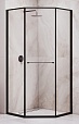 Душевой уголок RGW Stilvol SV-82B L 100x100 прозрачное, черный 33328200-14L
