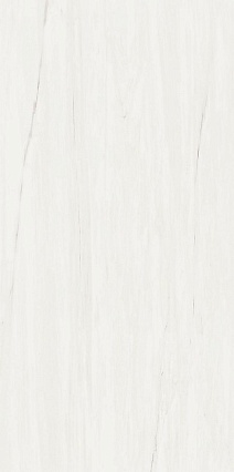 Плитка Atlas Concorde Marvel Stone Bianco Dolomite 80 40x80 см, 9MSB