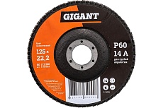 Круг лепестковый (125x22.2 мм; P60) Gigant G-11036