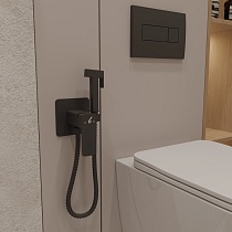 Смеситель Oliveeka D-Line OL-829003-MB с гигиеническим душем, черный матовый