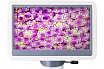Цифровой монокулярный микроскоп Levenhuk D85L LCD 78902
