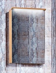 Зеркальный шкаф Бриклаер Форест 50 см дуб золотой