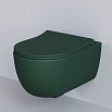 Крышка-сиденье Ambassador Abner 102T20701S тонкое, зеленый матовый