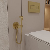 Смеситель Oliveeka Y-Line OL-829909-BG с гигиеническим душем, термостат, золото матовое