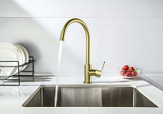 Смеситель для кухни Aquatek Оберон AQ1282BG шлифованное золото