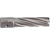 Сверло кольцевое (18х55 мм; TCT; Weldon 19/One-touch) Euroboor HMLU.180