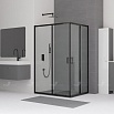 Душевой уголок RGW Classic CL-44B 100x80 прозрачное, черный