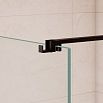 Душевая перегородка RGW Walk In WA-210B 120x195 с крючком для полотенца/халата, черный, прозрачное 351021011-14