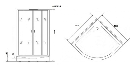 Душевая кабина Niagara Premium NG-6002-01G 100x100