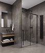 Душевая дверь Timo TDSS-150/03C-8L 150x200 прозрачное, черный
