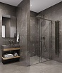 Душевая дверь Timo TDSS-140/13C-8L 140x200 прозрачное, никель