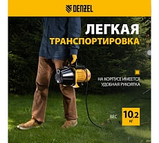 Садовый поверхностный насос Denzel GP1100C 97203
