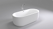 Акриловая ванна Black&White Swan SB109 170x80