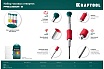 Набор часовых отверток для точных работ Kraftool Precision-6 6 предметов 25679
