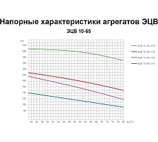 Насос ESQ ЭЦВ 10-65-275 02.06.000110