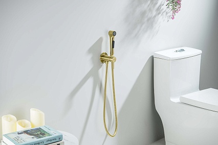 Смеситель Aquatek Европа AQ1020BG с гигиеническим душем, шлифованное золото Смеситель Aquatek Европа AQ1020BG с гигиеническим душем, шлифованное золото