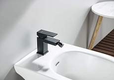 Смеситель для биде Aquatek Либра AQ1618MB черный матовый