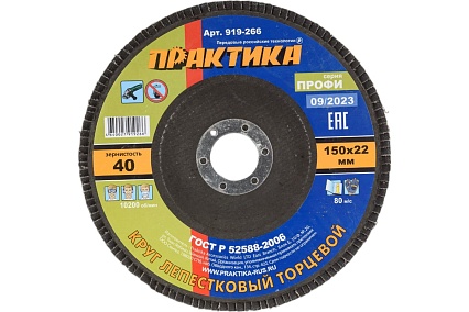 Круг лепестковый шлифовальный (150х22 мм; Р 40) Практика 919-266