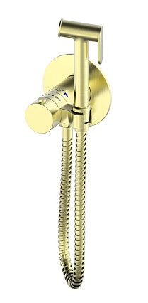 Смеситель Oliveeka Y-Line OL-829909-BG с гигиеническим душем, термостат, золото матовое