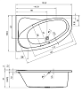 Акриловая ванна Riho Lyra 153x100 L/R