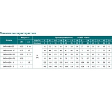 Скважинный насос LEO 3XRm 3/21-0.75 1337