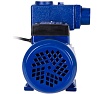 Вихревой насос WorkMaster TPS-60
