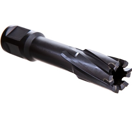 Фреза кольцевая TCT (19x50 мм) Rotorica RT.4225019