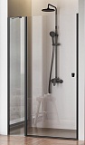 Душевая дверь Am.Pm Sunny W87G-120-1P-BT 120x190 прозрачное, черный матовый