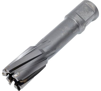 Фреза кольцевая TCT (20x55 мм; Weldon 19) Rotorica RT.4225020