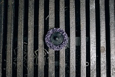 Диск быстросменный на винтовом креплении CD QD-R, D=50 мм, Purple Abraforce AFQDCDR5000PUR