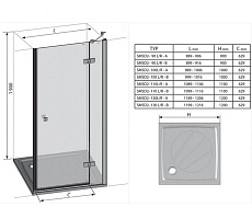 Душевая дверь Ravak Smartline SMSD2-100 А-R