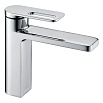 Смеситель для раковины Black&White Gravity GF-7103-С хром