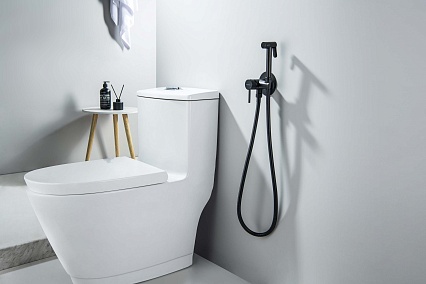 Смеситель Aquatek Европа AQ1021MB с гигиеническим душем, черный матовый Смеситель Aquatek Европа AQ1021MB с гигиеническим душем, черный матовый