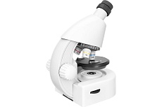 Микроскоп Discovery Micro Polar с книгой 77952