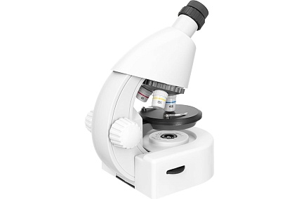Микроскоп Discovery Micro Polar с книгой 77952