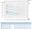 Насос SAER CM 1C 400V 100548165